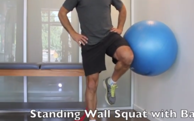 Standing wall squat with ball